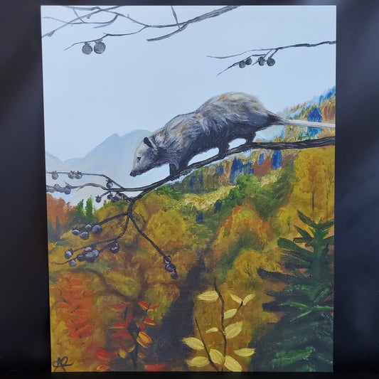Bravery, Opossum mountains, 11x14 Art Print, Gloss