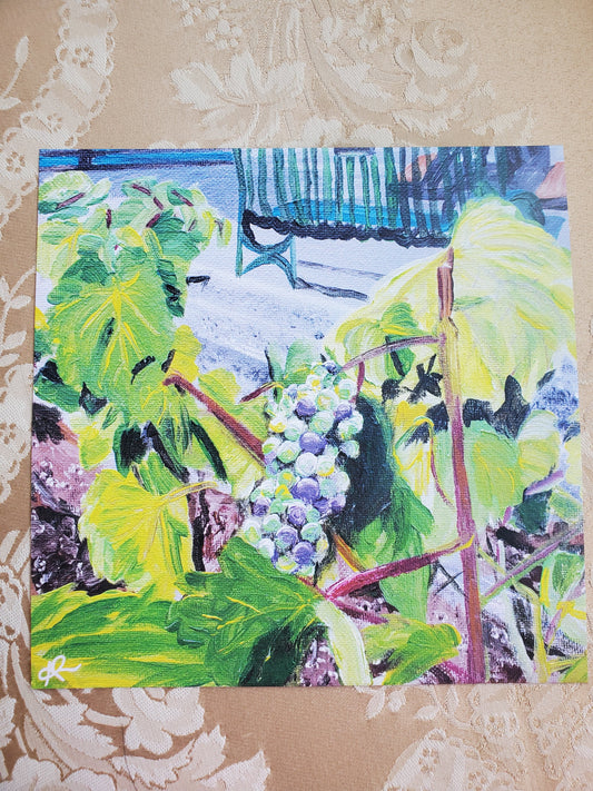 Veraison, Grapes, 8x8 Art Print, Gloss