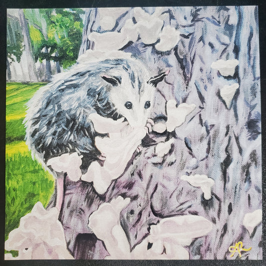 Bashful, Opossum Mushroom, 8x8 Art Print, Gloss