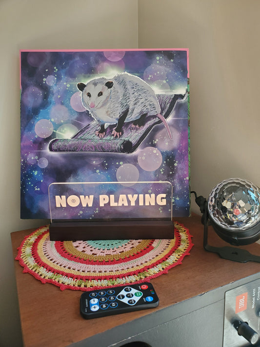 Magic Carpet Ride, Opossum, 12x12 Art Print, Gloss